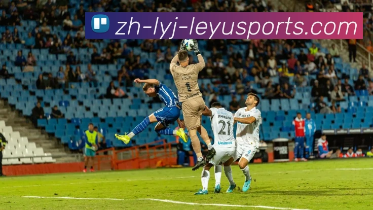 App Interface Preview