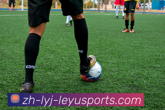 乐鱼体育APP 封面图